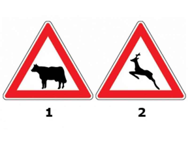 Imaginea întrebării: Indicatoarele alăturate te avertizează: